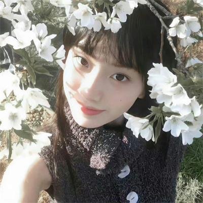 鸡妈鸭仔